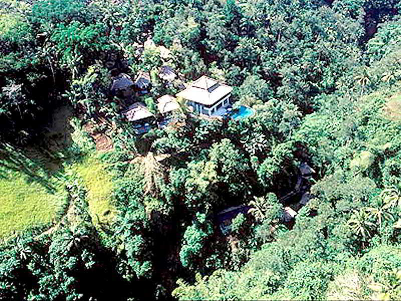 Natura Villa Ubud Extérieur photo